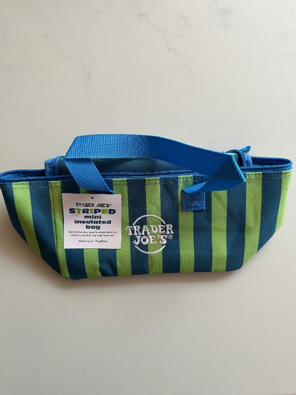 Trader Joe's Striped Mini Insulated bag
